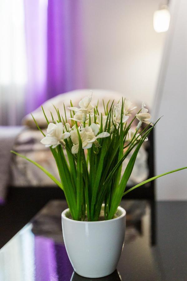 8 Svyatoho Teodora Square Apartments Львів Екстер'єр фото